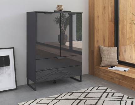 Comoda cu 2 usi si 2 sertare ADITIO 80x113x42cm gri metalic/ sticla basalt 